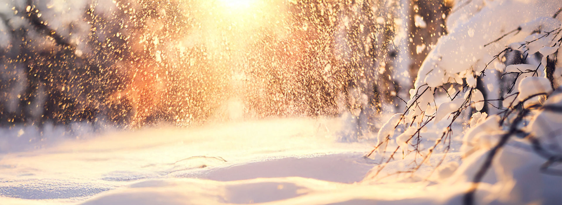 Schnee, Sonne scheint durch fallenden Schnee, Wald